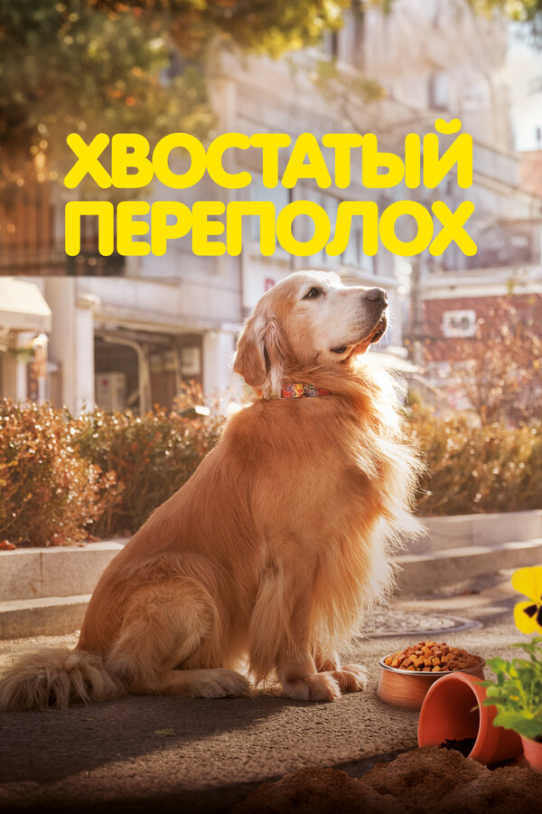 Хвостатый переполох (2024) - смотреть онлайн